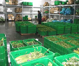 塑料周轉筐能用多少年？